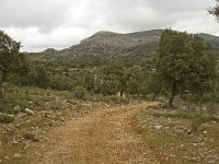 E, Malaga, El Burgo, Sierra de las Nieves 1, Saxifraga-Jan van der Straaten